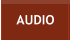 AUDIO